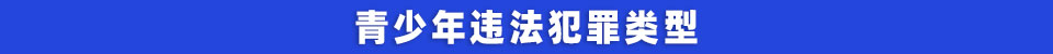青少年违法犯罪类型.jpg