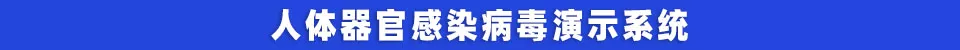 人体器官感染病毒演示系统.jpg