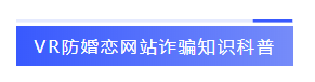 VR防婚恋网站诈骗知识科普-标签.png