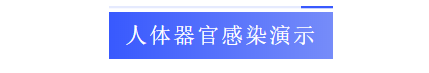 人体器官感染演示.png